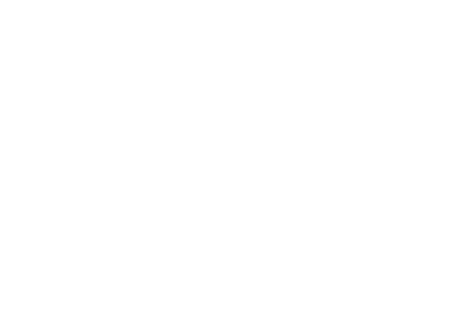 Crocodile wit